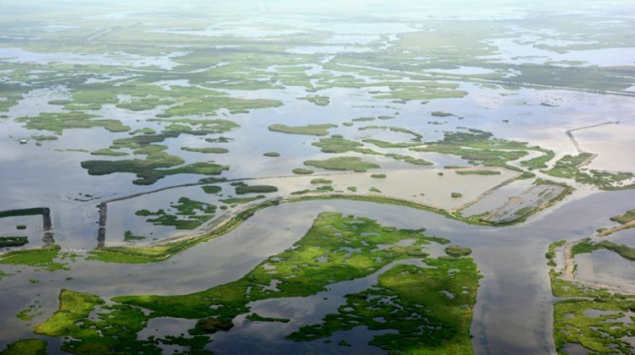 Lost Lake marsh restoration